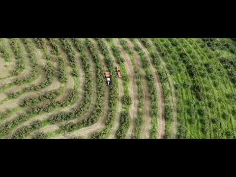 Sitio São Sebastião - Faxinal Pr.