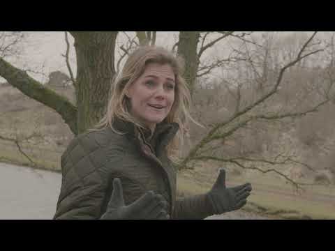 Zoom in op Zandvoort - beachfornature
