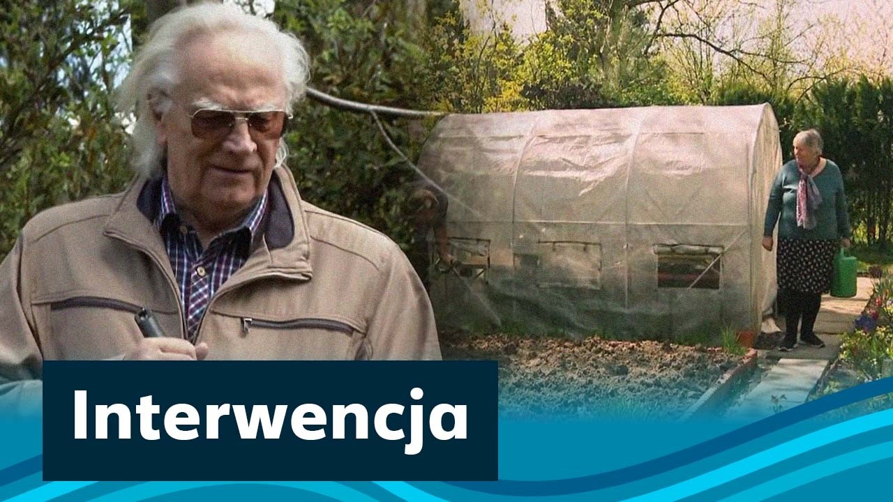 "Deweloper kontra emeryci". Działkowcy z Krakowa pozywani za własne ogródki