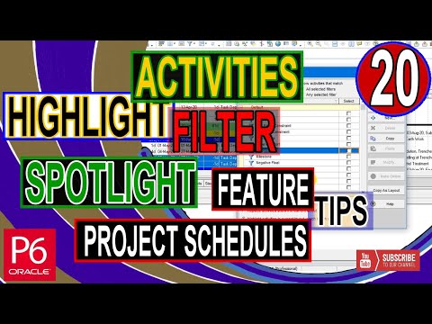 Save print Settings using Import and Export Primavera P6 layout Files Plf Solutions Tricks
