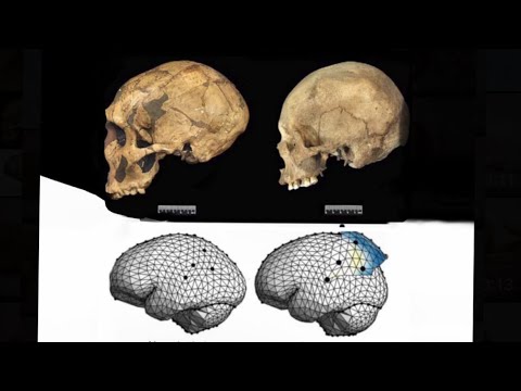 Were neanderthals smarter than us?