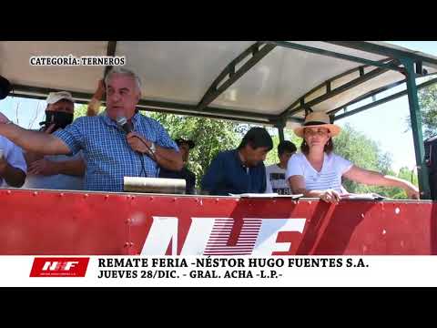 DE FRENTE AL CAMPO junto a NHF S.A. -TERNEROS - JUE/28/DIC/2017-