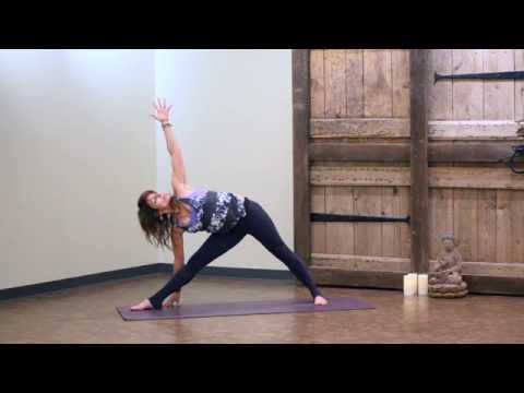 Principiantes turbosteps para aerobicos