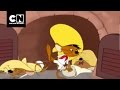 Cartoon Network | Curtas CN: Corrida Flash, Papa Léguas e Ligeirinho | 2010