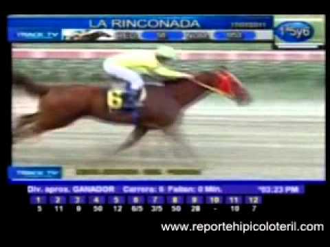 Resumen Domingo 17 de Julio 2011 - La Rinconada