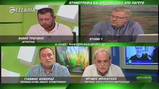 ΘΕΣΣΑΛΩΝ ΓΗ ΚΤΗΝΟΤΡΟΦΙΑ ΚΑΙ ΑΠΟΖΗΜΙΩΣΕΙΣ ΑΠΟ ΠΑΓΕΤΟ 16 05 2016