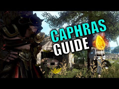 Was sind Caphras Steine ? | Caphra-Guide | Black Desert Online | InstaWolf