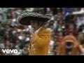 Vicente Fernández - A Pesar De Todo ((En Vivo))