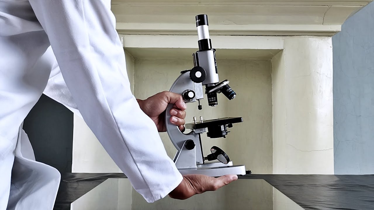 How to use a Compound Microscope| Monocular brightfield microscope