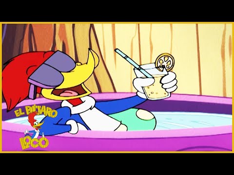 El Pájaro Loco en Español | La carrera tri acuática | 1 Hora de Compilación | Dibujos Animados