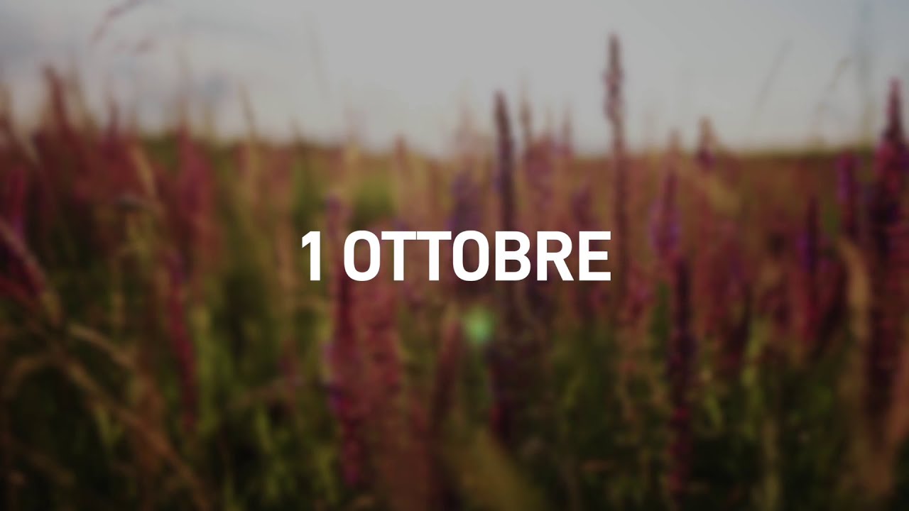1 Ottobre 2025 | Meditazione Parole di Vita