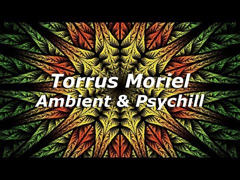 DJ Iridium - Live Incognito Birthday (Open Air Mix) (05-07-03) Ambient, Psychill, Relax Psy Music