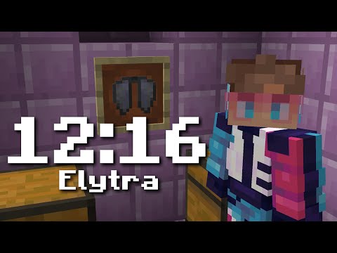 12:16 elytra (wr)