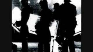 Toxoplasma - Träumer