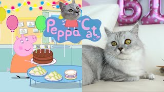 【Happy 1st birthday 💝】