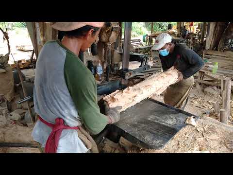 Lelaki Tua ini Mencoba Tehnik Terlarang Nggraji Kayu Monyet..!!