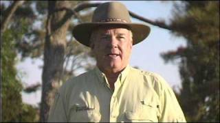 Travel Guide New Mexico tm, Angel Fire New Mexico Lliving