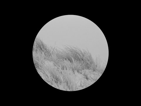 Archie Gray - 5VAR4-1