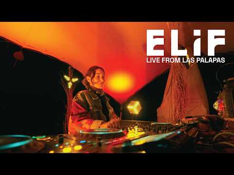 ELIF live from Las Palapas, Mendoza Argentina | Deep Progressive Melodic House & Indie Dance Set