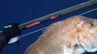 Wettie TV- HOLD YOUR BREATH