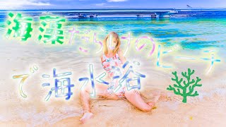 【スカート水着】夏の終わりに海藻でいっぱいのビーチに入ってみる。( ・∇・)