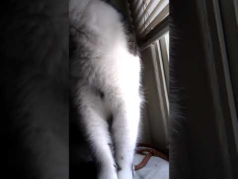 Drip to hard 💪💪💪💪