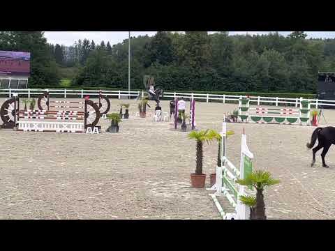 KENSINGTON (6yo Zirocco Blue) 16.09.21 Lamprechtshausen - 1. Place Youngster 115 cm