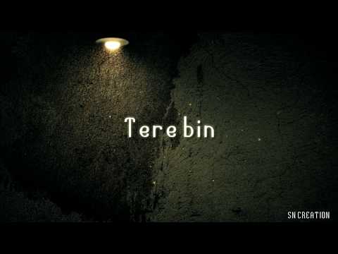 Simmba -TERE BIN LYRICS | Ranveer Singh | Sara Ali Khan