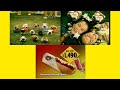 Latino McDonald S Happy Meal Ad The Dog Artist Collection Plus Hot Dog Promo 2004