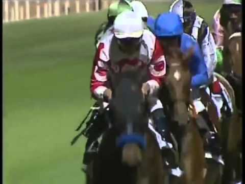 Dubai Sheema Classic 2008 G1 - SUN CLASSIC