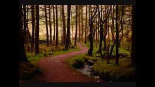 In The Forest-Van Morrison