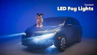 Honda Odyssey | LED Fog Lights