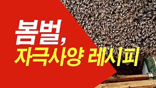 저는 봄벌 자극사양 이렇게 하고 있습니다.