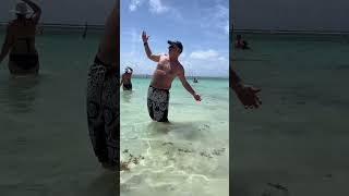 Costa Maya; The Beach You NEED to Visit #travel #funny #msc #shorts