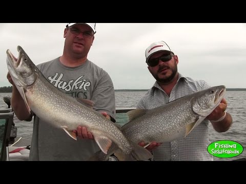 download lagu mp3 mp4 Cornhuskers Fishing Lodge, download lagu Cornhuskers Fishing Lodge gratis, unduh video klip Cornhuskers Fishing Lodge