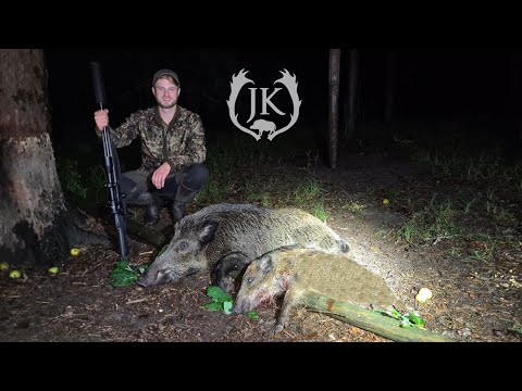 Nachtjagd in Sommernächten | Sauen im Feld & Wald - Jagdkrone