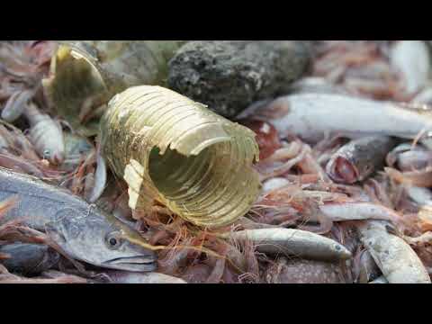 #TiDF25 | Fishing for Litter