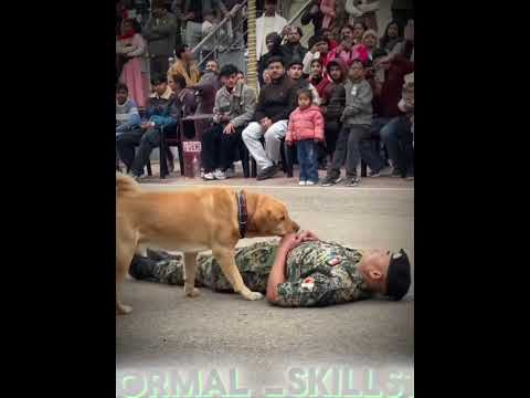Normal Skills vs other police and army 🪖 King dog 🐕 #army #police #trolledit