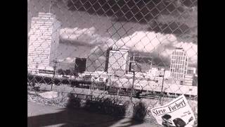 Steve Forbert-Perfect Stranger