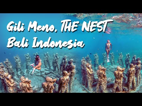 Gili Meno: Freediving into the NEST / 8 DAYS ITINERARY IN BALI INDONESIA