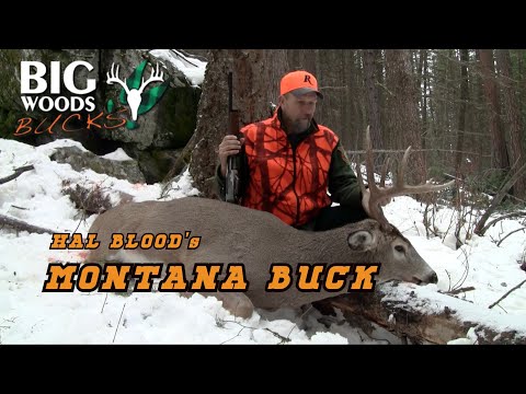The Montana Buck | Tracking with Hal Blood