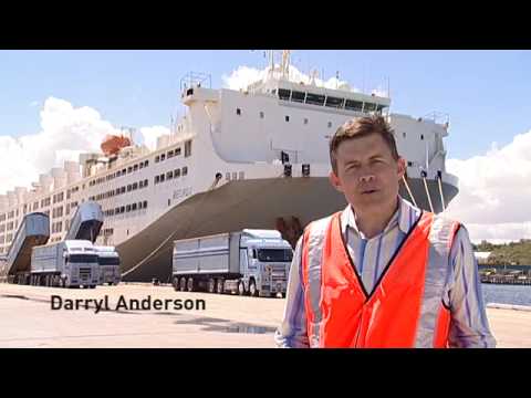 Livestock Transport: Take a ship tour onboard MV Becrux