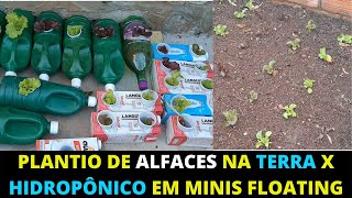 Plantio na terra x Hidropônico em minis floating