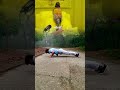 Brahmacharya Morningworkout Grow Premanandjimaharaj Premanand Premanandji Krishnawisdom