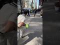 Asking Strangers To Play Cricket In New York Shorts Cricket
