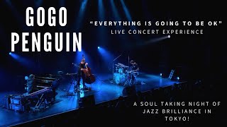 Everything Is Going to Be OK | Live Concert Highlight in Tokyo, Japan #gogopenguin #concerts