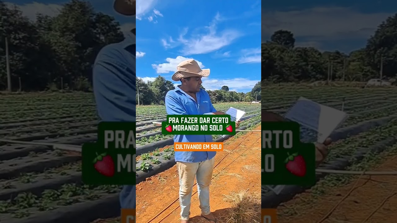 Aprendi a adubar certo