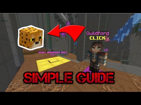 How to get the cheetah talisman in Hypixel Skyblock FREE EPIC TALISMAN (updated 2024)