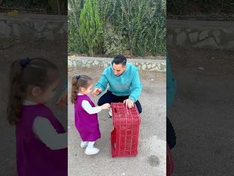 وين اختفوا البنات !