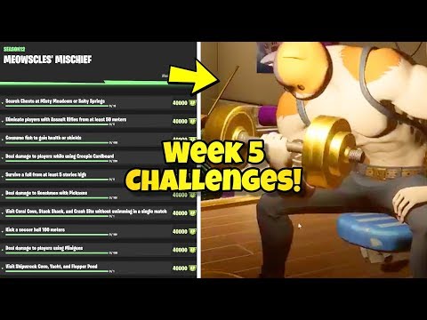 *NEW* Fortnite WEEK 5 “MEOWSCLES MISCHIEF” CHALLENGES SHOWCASE! Fortnite (MEOWSCLES MISCHIEF WEEK 5)